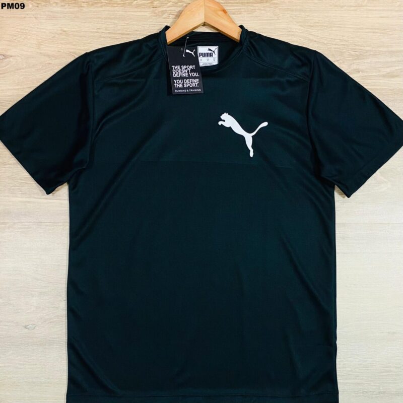 CAMISETA DRY FIT - CDFLPM09