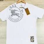 CAMISETA PERUANA ALG. 40.1 - CPQBRY85