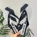 CHINELO ADULTO MASC. - CMLST633