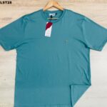 CAMISETA PLUS SIZE PREMIUM – PSPLST28