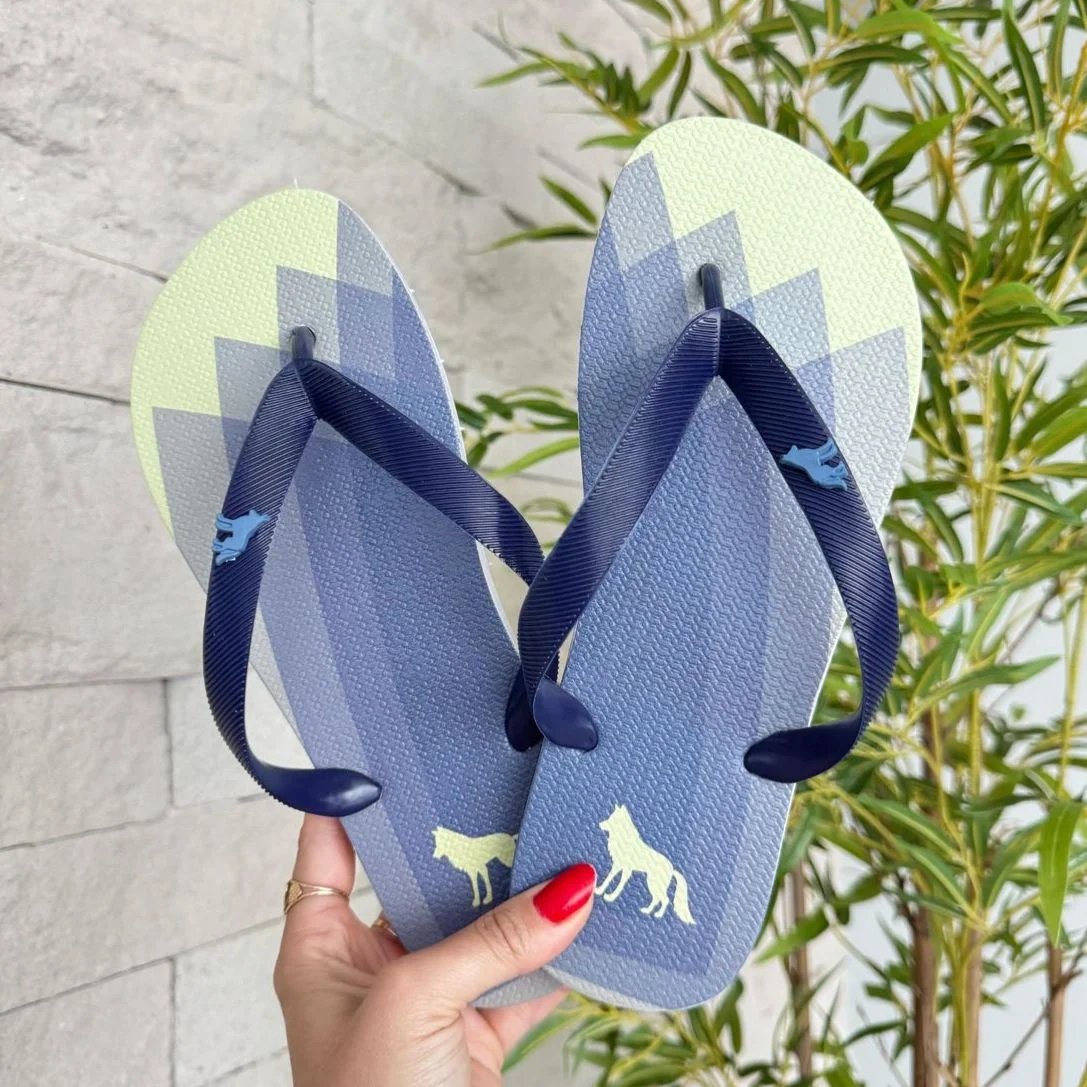 CHINELO ADULTO MASC. - CMACT479