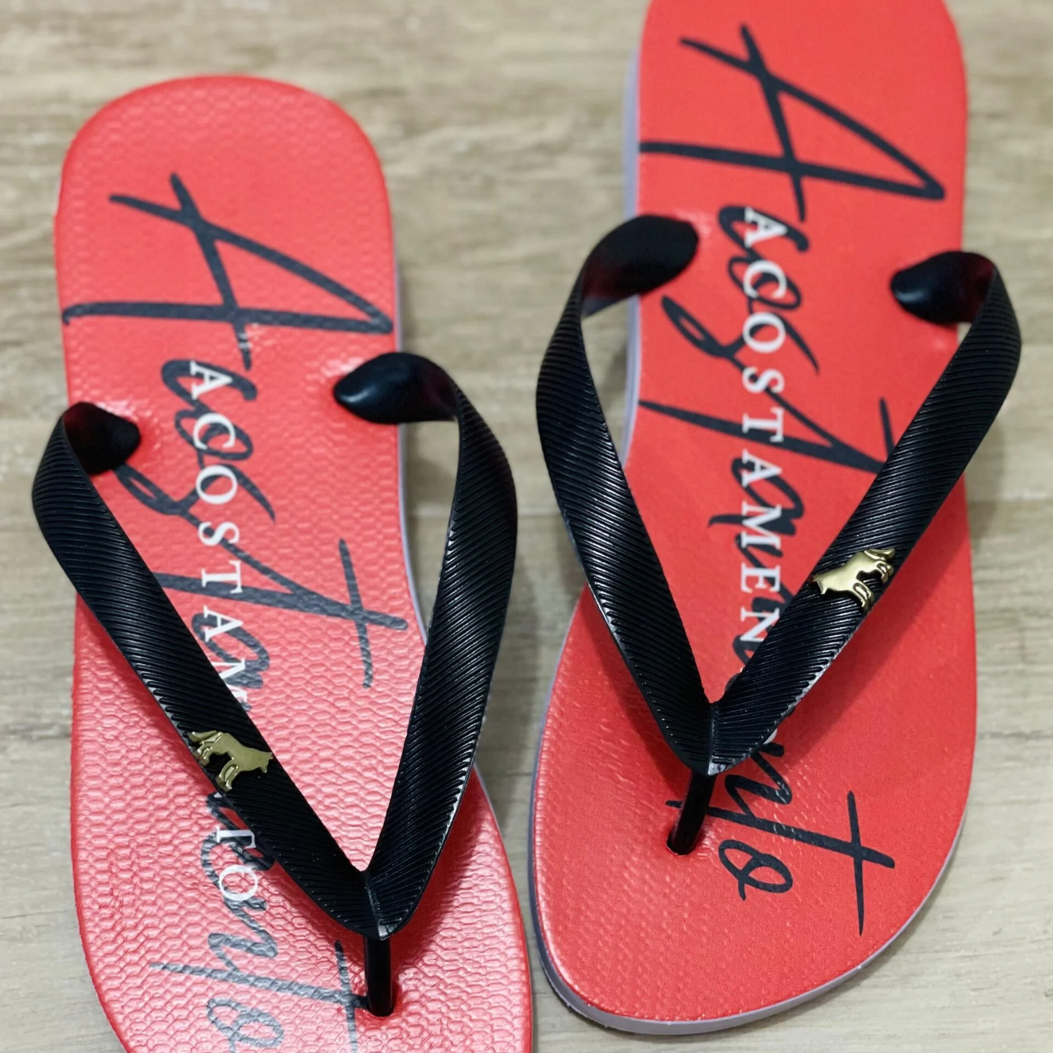 CHINELO ADULTO MASC. - CMACT528