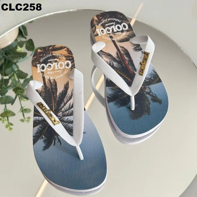 CHINELO ADULTO MASC. - CMCLC258