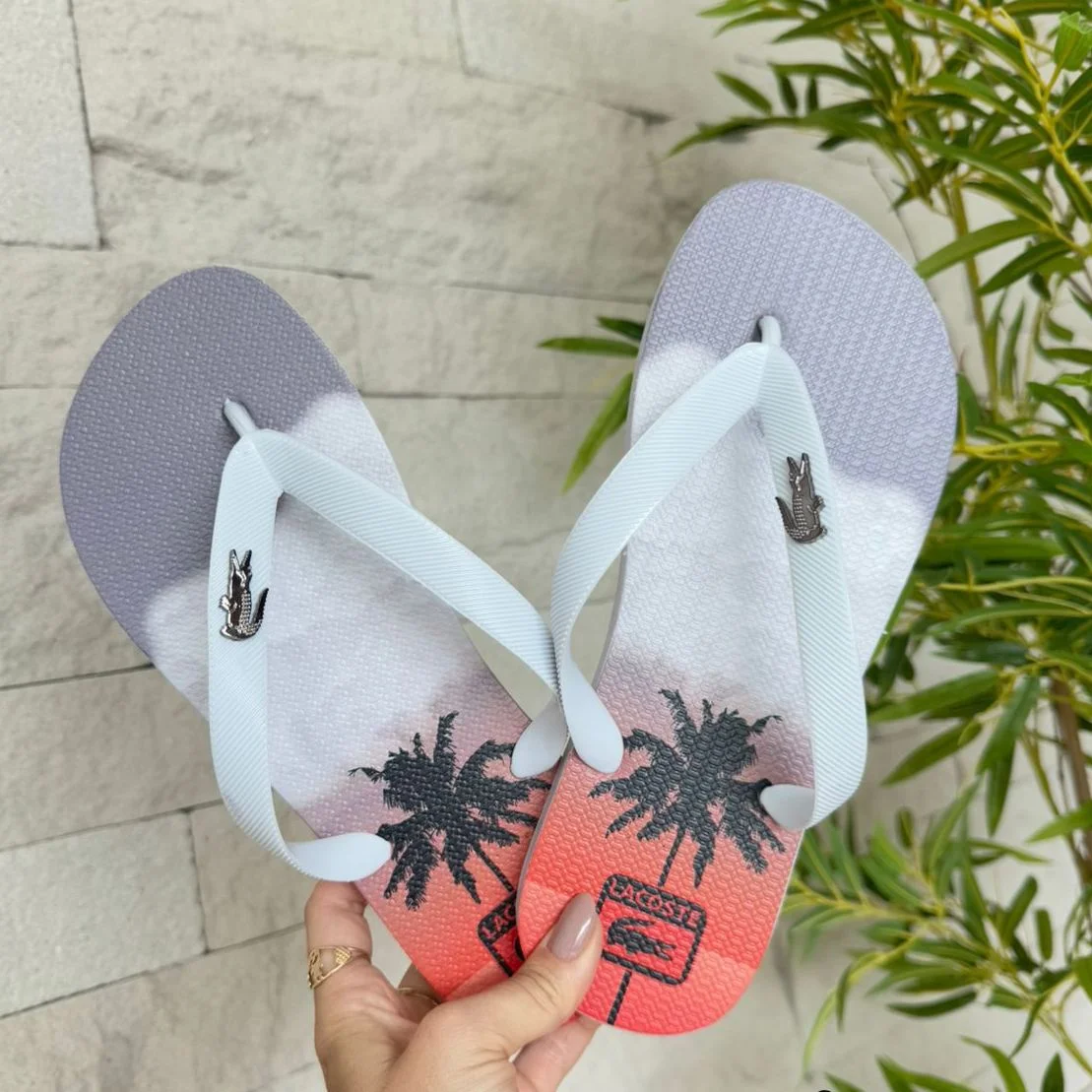 CHINELO ADULTO MASC. - CMLST579
